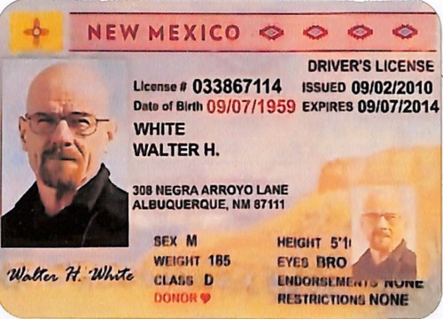 Walter white calamita - -,